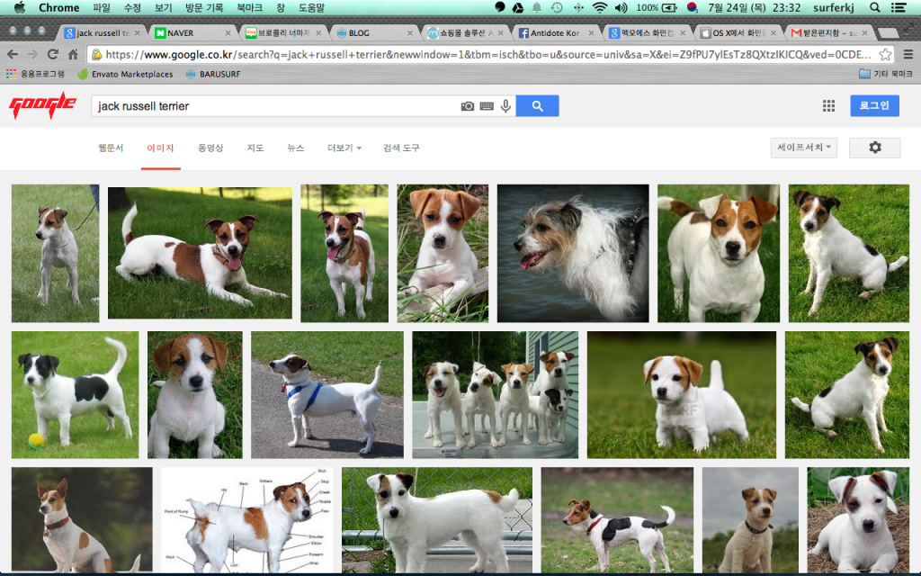 ed36e0813106158f7e27172d5f3b40d4